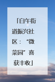 白午街道振兴社区：“微菜园”喜获丰收