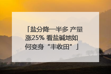 盐分降一半多 产量涨25% 看盐碱地如何变身“丰收田”