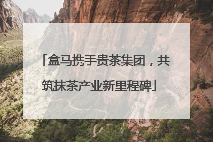 盒马携手贵茶集团，共筑抹茶产业新里程碑
