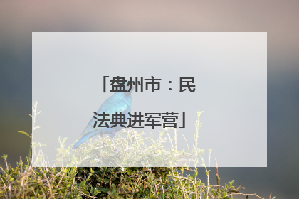 盘州市：民法典进军营