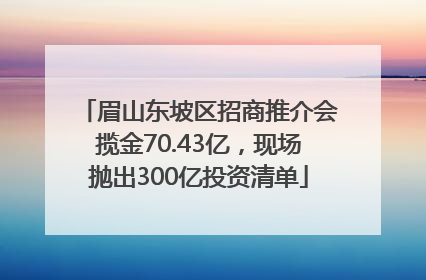 眉山东坡区招商推介会揽金70.43亿，现场抛出300亿投资清单