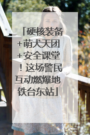 硬核装备+萌犬天团+安全课堂！这场警民互动燃爆地铁台东站