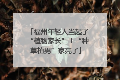 福州年轻人当起了“植物家长”！“种草植男”家亮了
