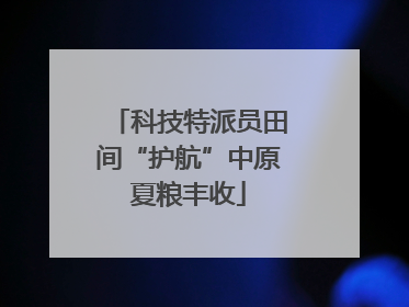 科技特派员田间“护航”中原夏粮丰收