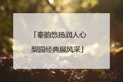 秦韵悠扬润人心 梨园经典展风采