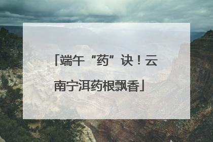 端午“药”诀！云南宁洱药根飘香