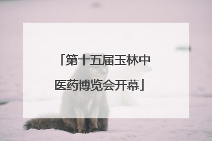 第十五届玉林中医药博览会开幕