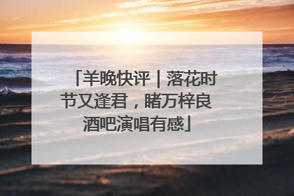 羊晚快评｜落花时节又逢君，睹万梓良酒吧演唱有感