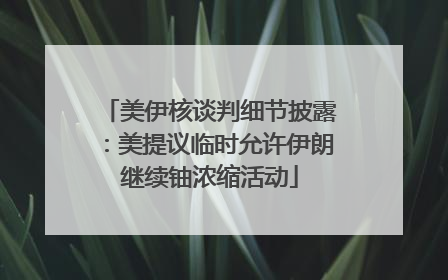 美伊核谈判细节披露：美提议临时允许伊朗继续铀浓缩活动