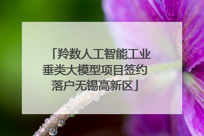 羚数人工智能工业垂类大模型项目签约落户无锡高新区