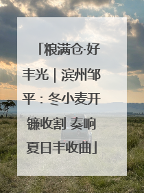 粮满仓·好丰光｜滨州邹平：冬小麦开镰收割 奏响夏日丰收曲