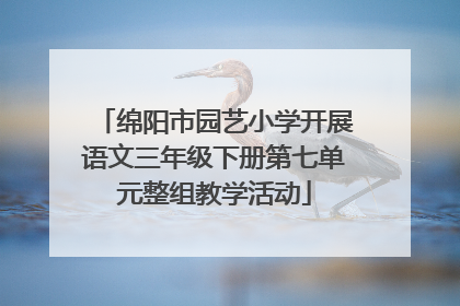 绵阳市园艺小学开展语文三年级下册第七单元整组教学活动