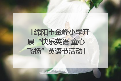 绵阳市金峰小学开展“快乐英语 童心飞扬”英语节活动