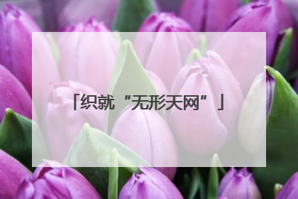织就“无形天网”