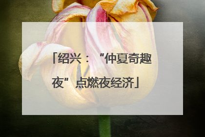 绍兴：“仲夏奇趣夜”点燃夜经济