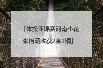 体操亚锦赛河南小花张怡涵收获2金1铜