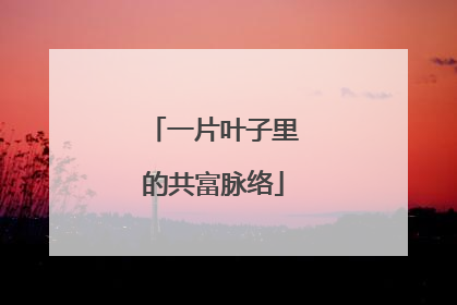 一片叶子里的共富脉络