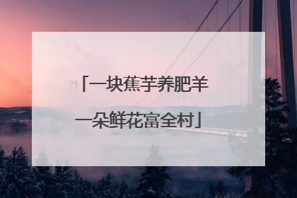 一块蕉芋养肥羊 一朵鲜花富全村