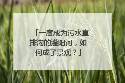 一度成为污水直排沟的滏阳河，如何成了景观？