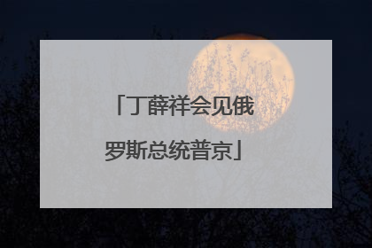 丁薛祥会见俄罗斯总统普京