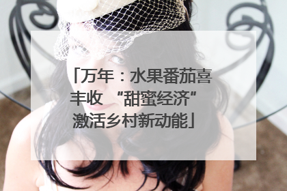 万年：水果番茄喜丰收 “甜蜜经济”激活乡村新动能