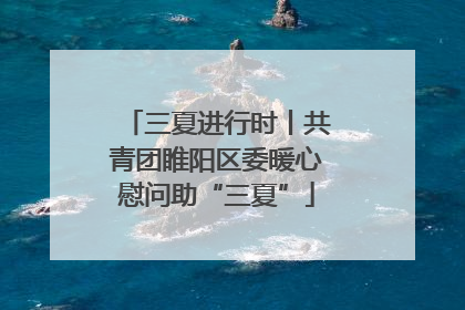 三夏进行时丨共青团睢阳区委暖心慰问助“三夏”