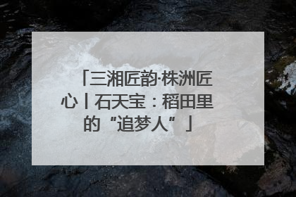 三湘匠韵·株洲匠心丨石天宝：稻田里的“追梦人”