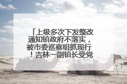 上级多次下发整改通知镇政府不落实，被市委巡察组抓现行！吉林一副镇长受党内警告处分