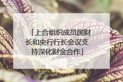 上合组织成员国财长和央行行长会议支持深化财金合作