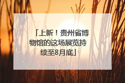 上新！贵州省博物馆的这场展览持续至8月底