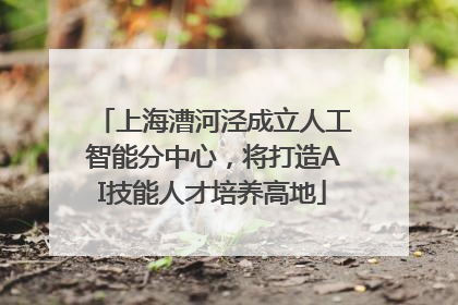 上海漕河泾成立人工智能分中心，将打造AI技能人才培养高地
