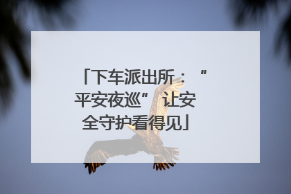 下车派出所：“平安夜巡” 让安全守护看得见
