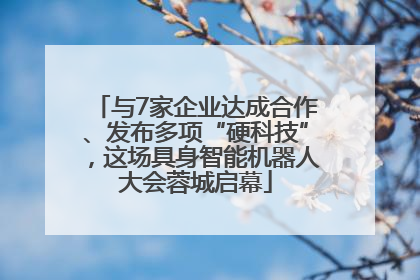 与7家企业达成合作、发布多项“硬科技”，这场具身智能机器人大会蓉城启幕