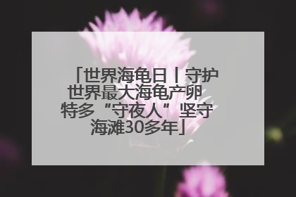 世界海龟日丨守护世界最大海龟产卵 特多“守夜人”坚守海滩30多年