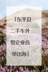 东平县二手车外贸企业首单出海