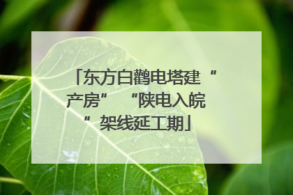东方白鹳电塔建“产房” “陕电入皖”架线延工期