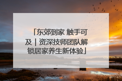 东郊到家 触手可及｜资深技师团队解锁居家养生新体验