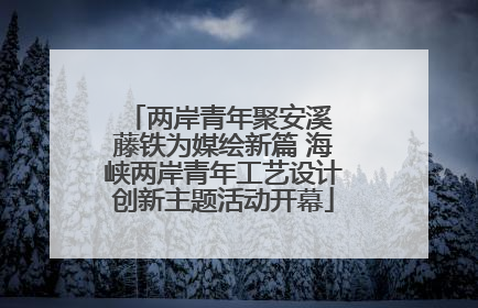 两岸青年聚安溪 藤铁为媒绘新篇 海峡两岸青年工艺设计创新主题活动开幕