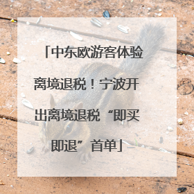 中东欧游客体验离境退税！宁波开出离境退税“即买即退”首单