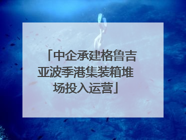 中企承建格鲁吉亚波季港集装箱堆场投入运营