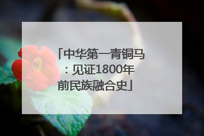 中华第一青铜马：见证1800年前民族融合史