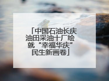 中国石油长庆油田采油十厂绘就“幸福华庆”民生新画卷