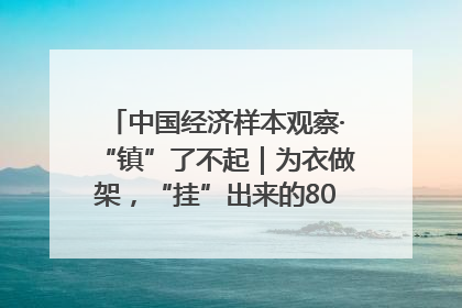 中国经济样本观察·“镇”了不起｜为衣做架，“挂”出来的80亿元“衣架产业”