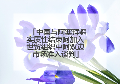 中国与阿塞拜疆实质性结束阿加入世贸组织中阿双边市场准入谈判