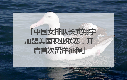 中国女排队长龚翔宇加盟美国职业联赛，开启首次留洋征程