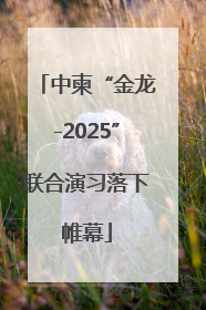 中柬“金龙-2025”联合演习落下帷幕