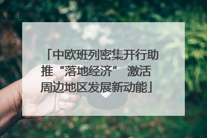 中欧班列密集开行助推“落地经济” 激活周边地区发展新动能