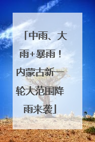 中雨、大雨+暴雨！内蒙古新一轮大范围降雨来袭
