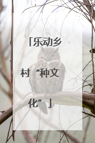 乐动乡村“种文化”