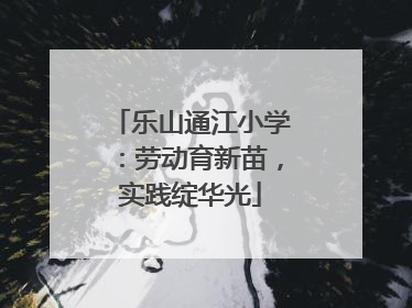乐山通江小学：劳动育新苗，实践绽华光